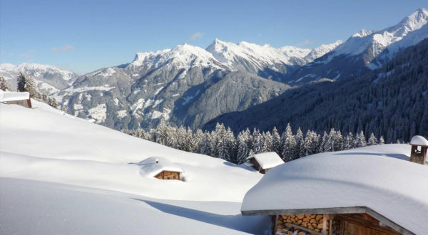 Bernerhof Discussion