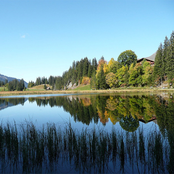 «I GANGE NO ME A LOUENESEE»