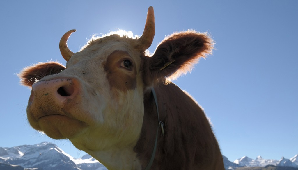 Opening of the alpine season