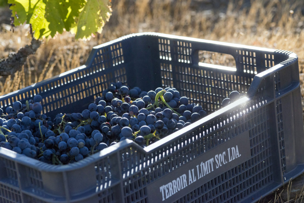 Exclusive wine trip to Priorat, in the terroir al Limit (Spain)