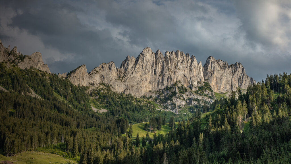 Benefizkonzert und -dinner